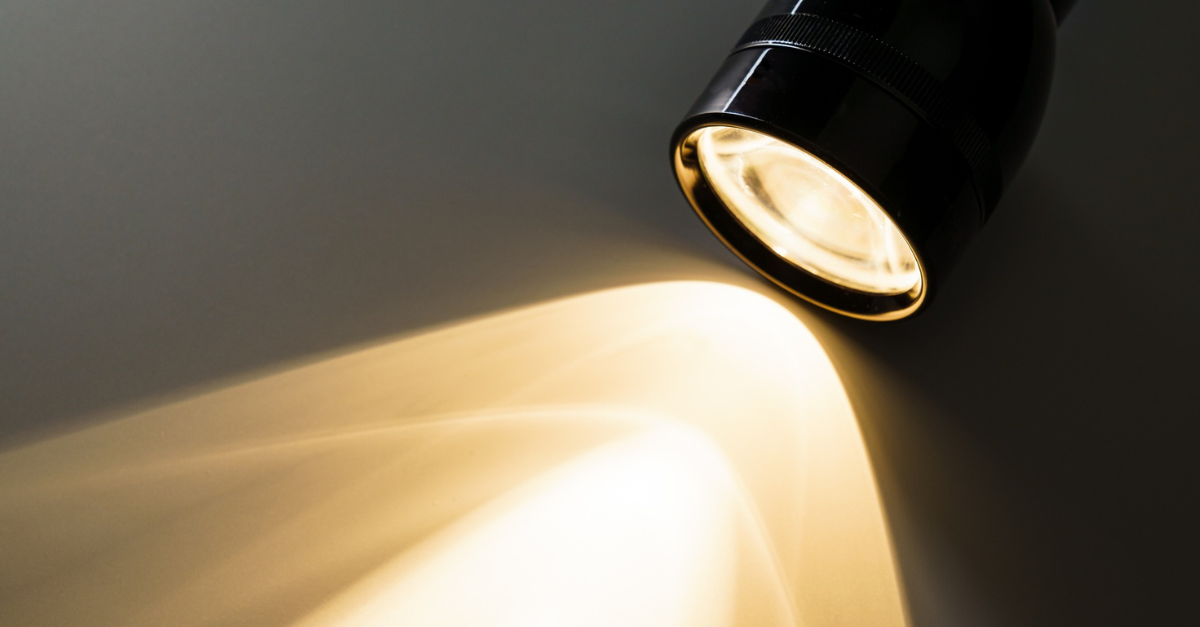 Auditing and Governing Shadow AI