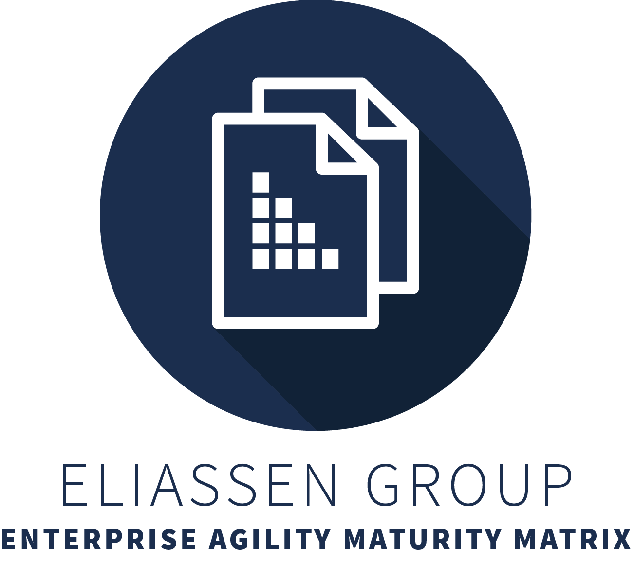 Introducing the Enterprise Agility Maturity Matrix