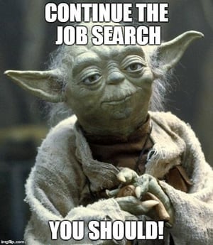 Job Search During the Holidays: The Force is With You