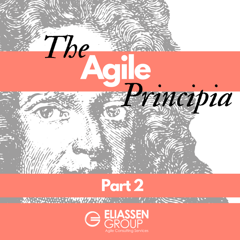 The Agile Principia (a.k.a. Agile Playbook) - Part 2