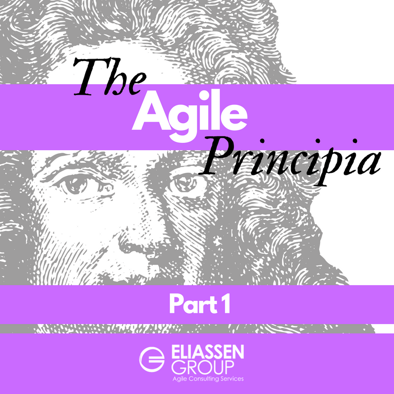 The Agile Principia (a.k.a. Playbook) - Part 1: Agile Documentation