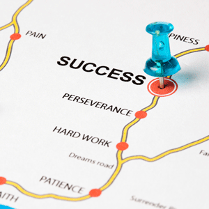 The Importance of Process in a Successful Software Implementation