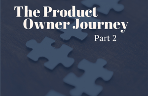 The Product Owner Journey, Part 2: Mitigation Strategies