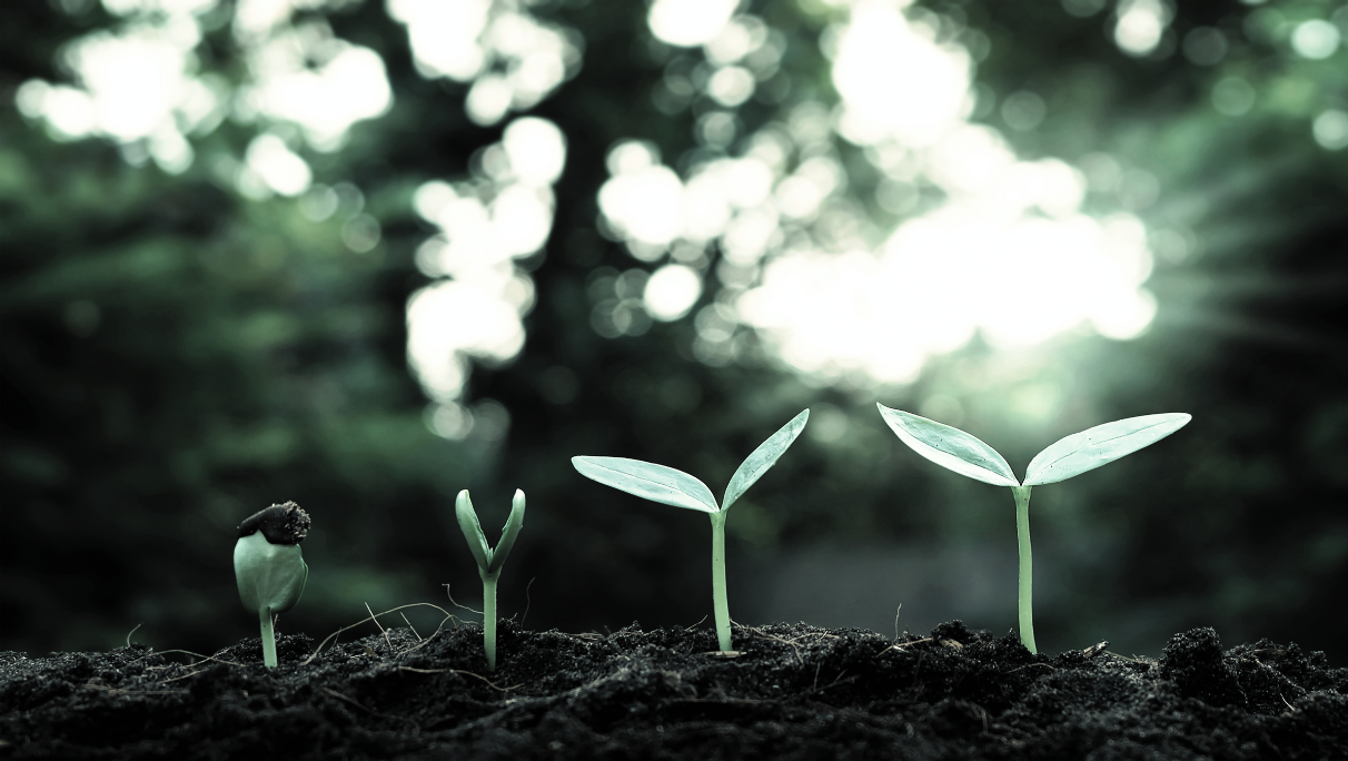 Best Practices for Effective Internal Controls